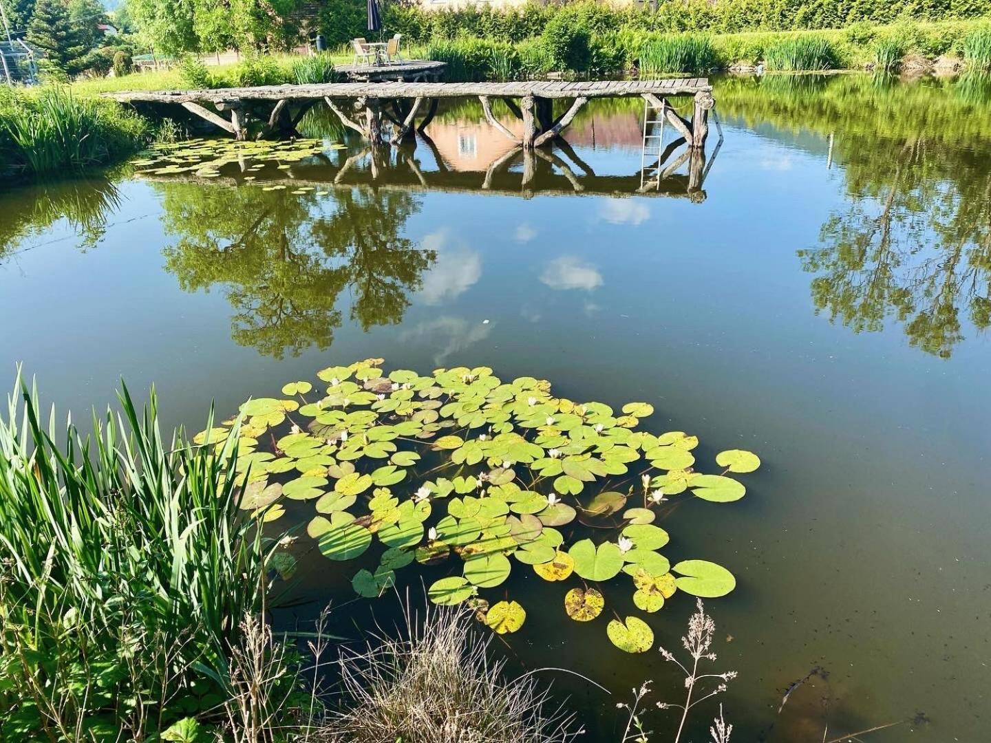 Agroturystyka Leszczynowy Dworek Ponikwa  Extérieur photo
