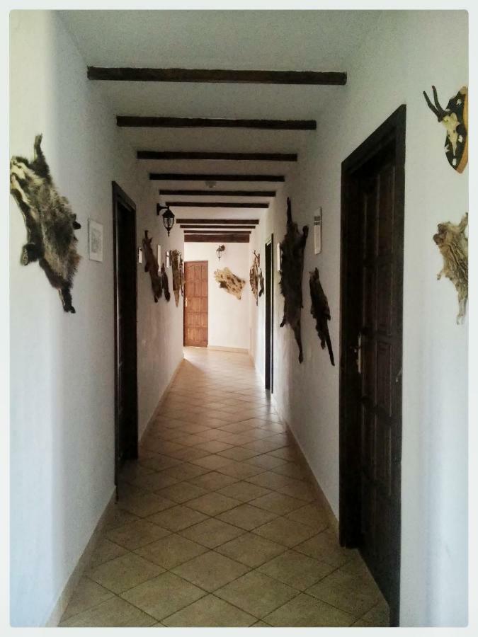 Agroturystyka Leszczynowy Dworek Ponikwa  Extérieur photo