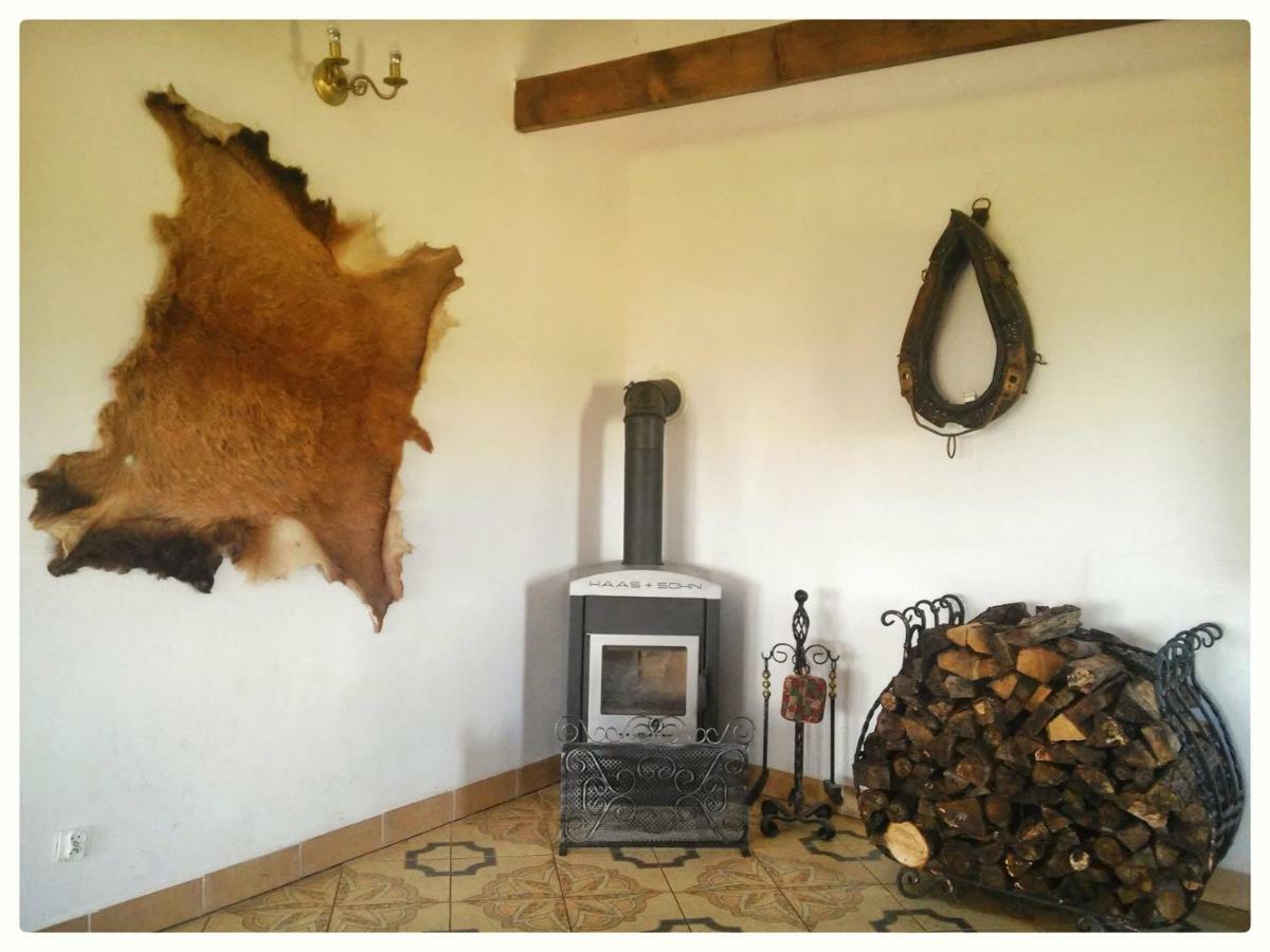 Agroturystyka Leszczynowy Dworek Ponikwa  Extérieur photo